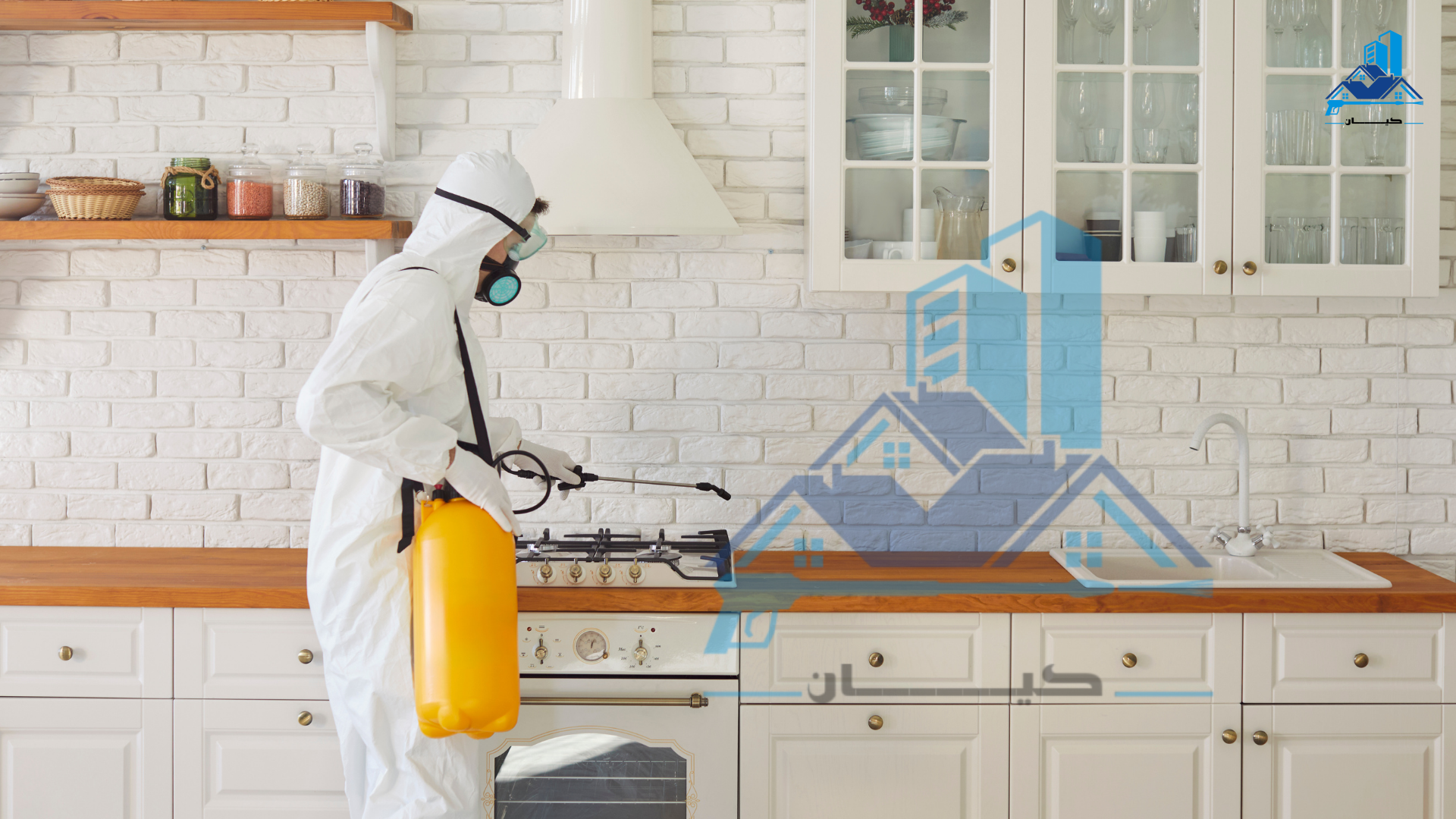 شركة رش مبيدات بعرعر