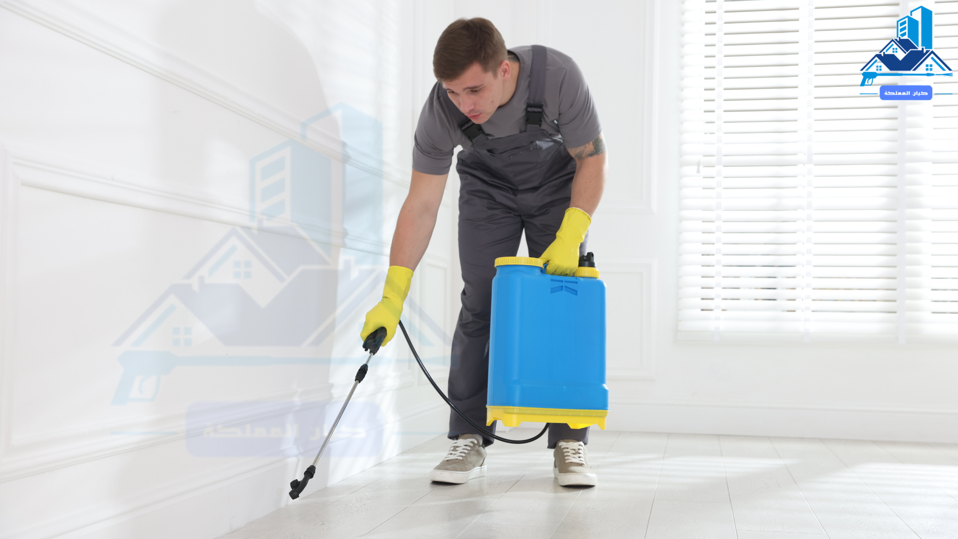 شركة مكافحة حشرات بعرعر